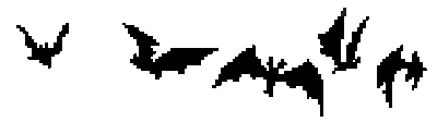 bats
